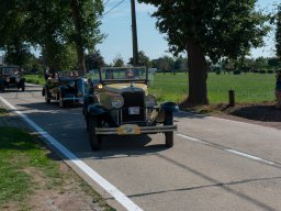 2019 - Parel der Voorkempen - Guy 